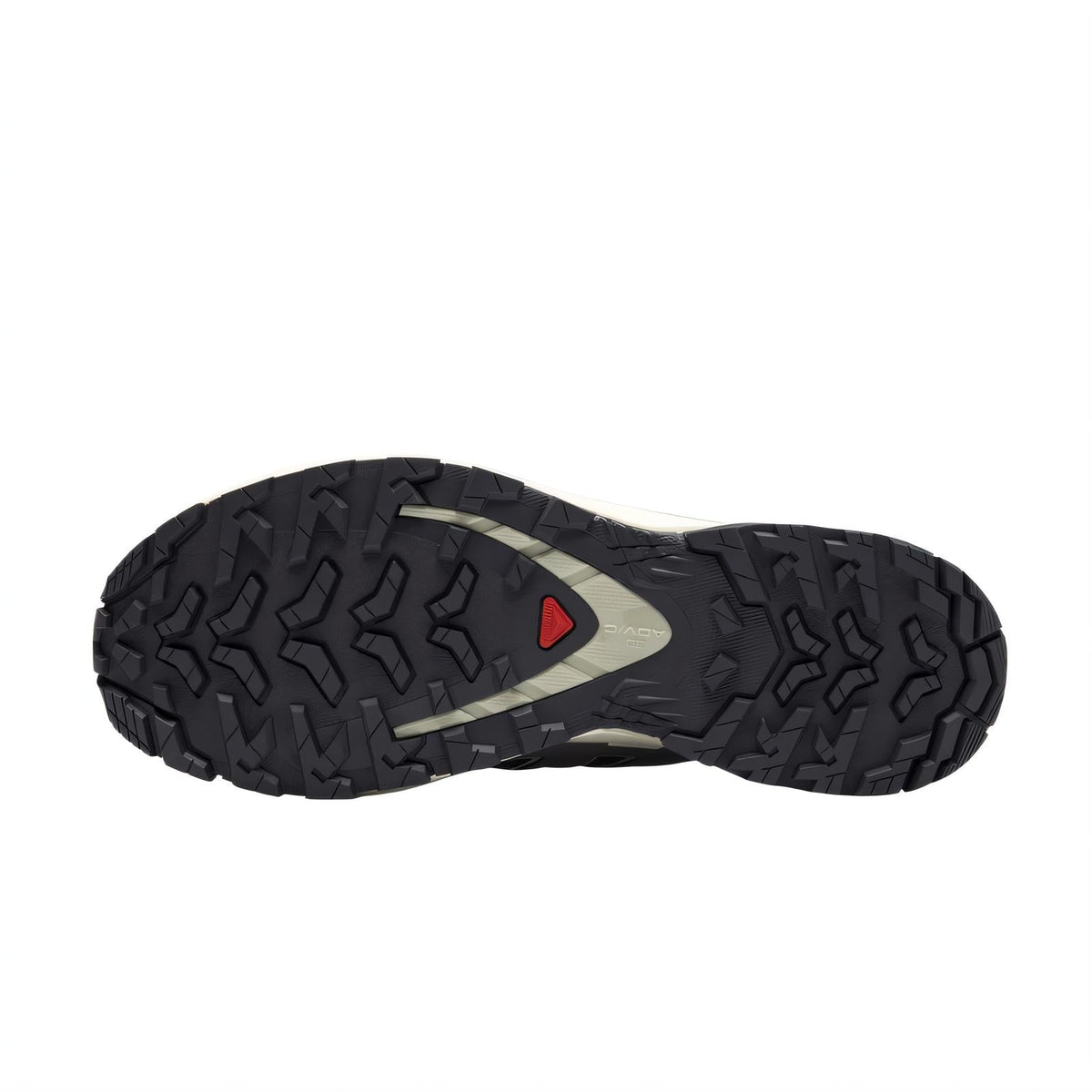 Salomon XA PRO 3D V9 GTX Sneakers – Dark Grey & Beige