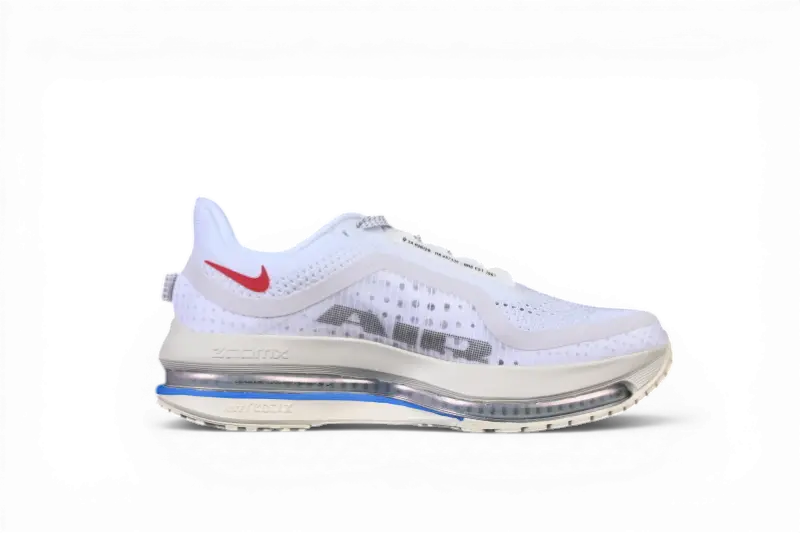 Nike Pegasus Premium Running Shoes – Forrest Gump HQ2592-004