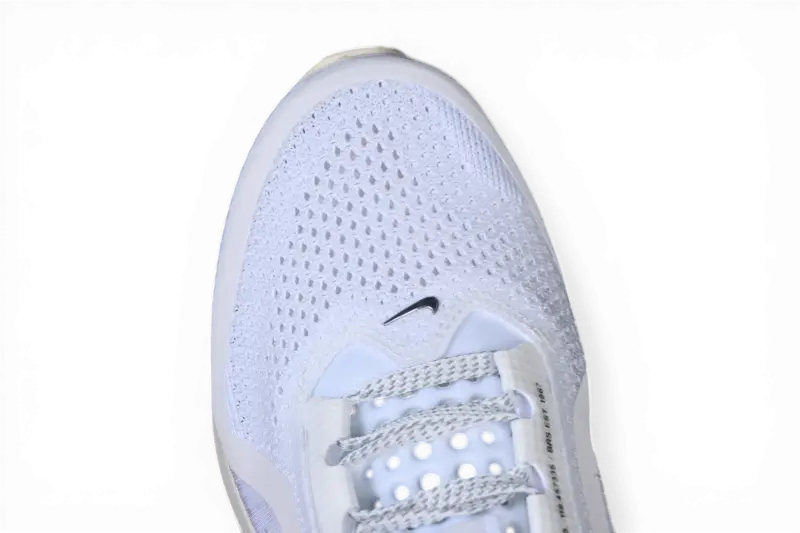 Nike Pegasus Premium Running Shoes – Forrest Gump HQ2592-004