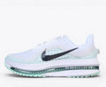 Nike Pegasus Premium Running Shoes – White / Mint Foam HQ2592-004